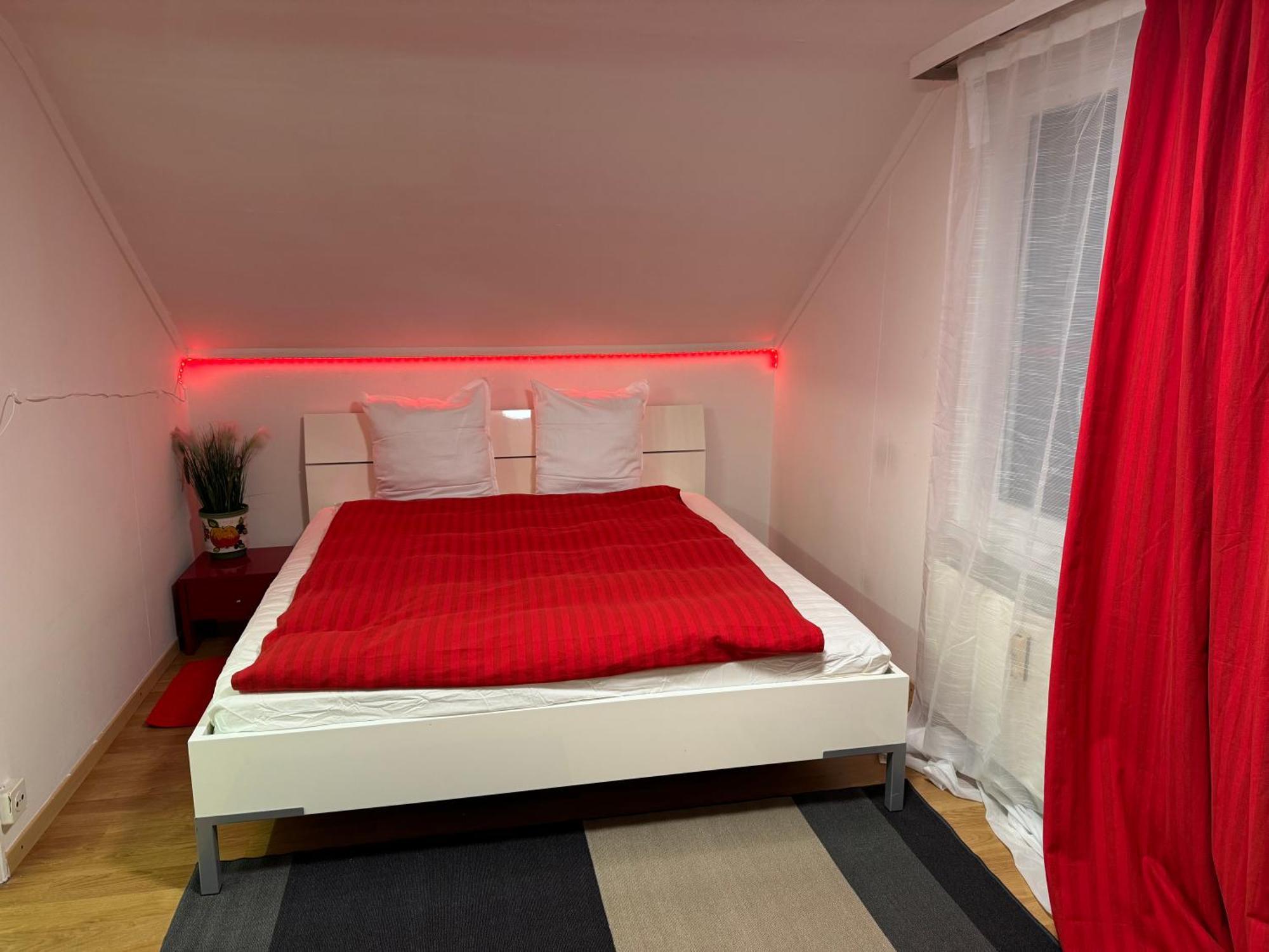 Nice Apartment St. Gallen Dış mekan fotoğraf