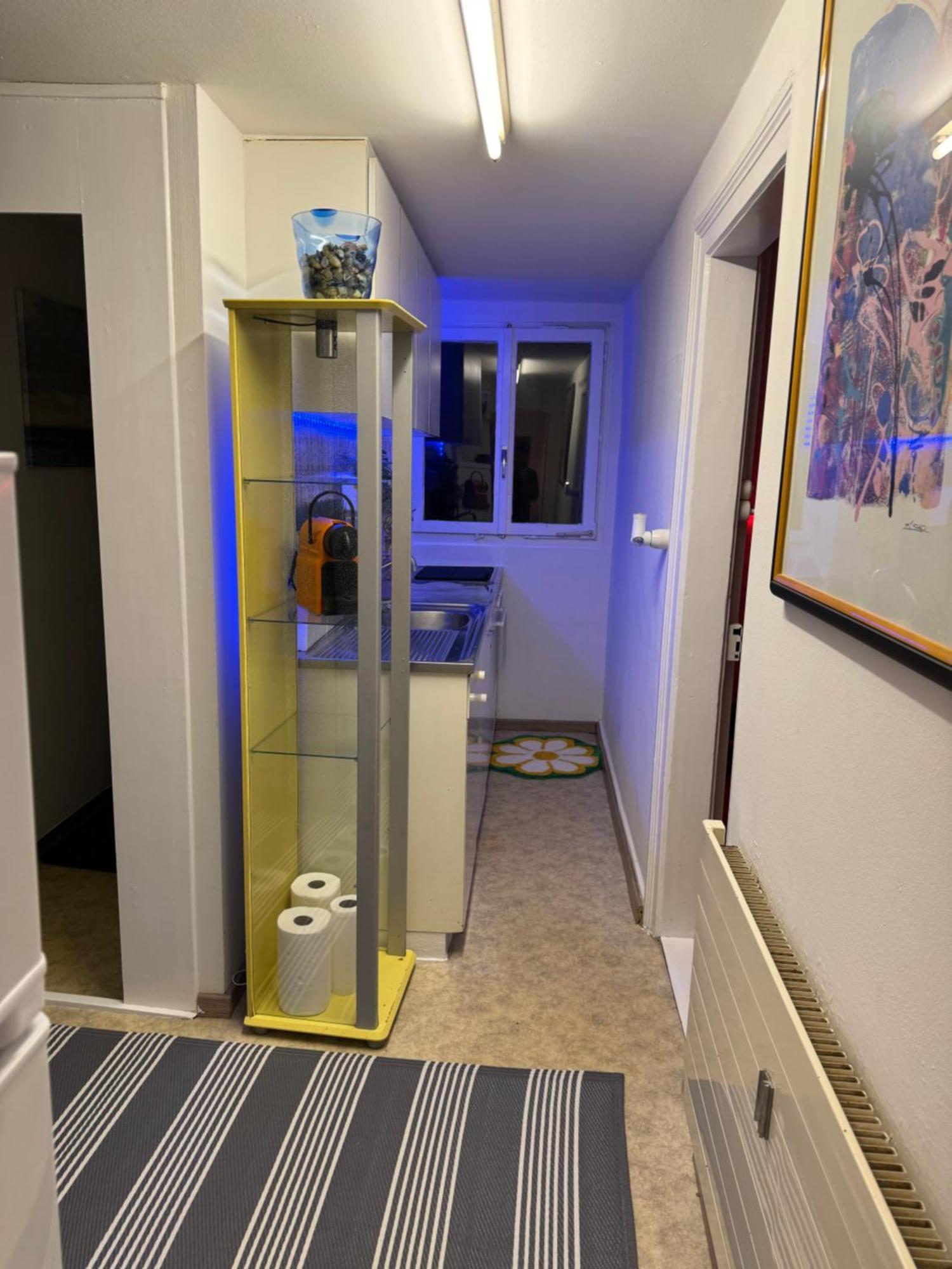 Nice Apartment St. Gallen Dış mekan fotoğraf